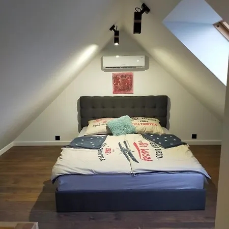 Apartament Vip *