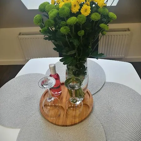 Vip Appartement Sosnówka